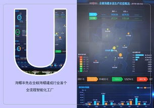 520丨绿色海螺告白美好世界