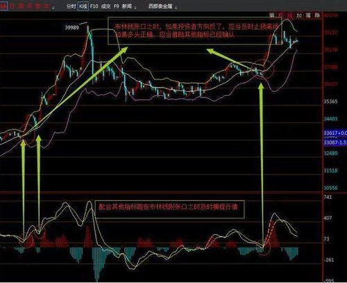 我是个炒股票新手，想试试炒股票，但不知道从何处学起，有谁可以帮帮忙！