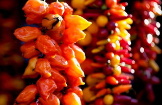 中国八大辣椒品种 中国最好的辣椒种子