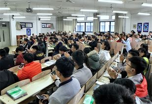 太傻留学咨询，太傻咨询做留学怎么样