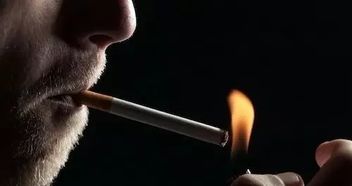 客人抽烟老板罚款知道吗 一餐厅老板被罚440欧元 