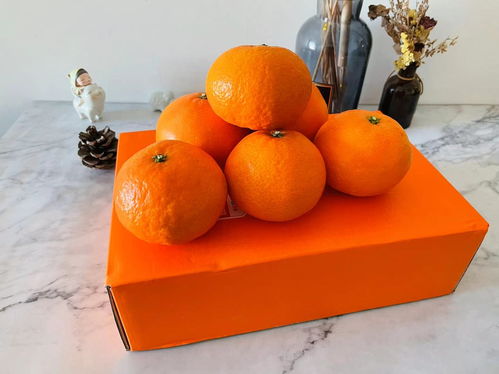 这个季节怎么能少得了甜心果冻橙,橙子中的爱马仕果然名不虚传