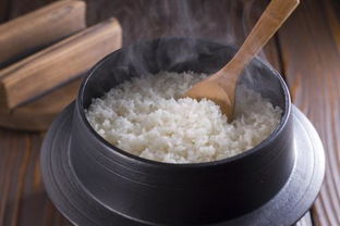 蒸米饭要多久就熟了 