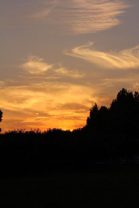 天空 黄昏下的夕阳图片实拍效果高清图片下载 红动网 
