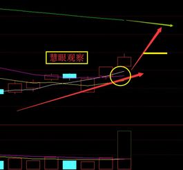 成飞集成怎么了，连跌二周大盘大涨他还能收阴，庄家吃K大了吗！后市会怎么样子