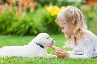 可爱的小女孩与小狗动物高清图片