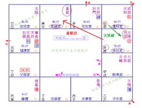 梁若瑜飞星斗数初级 五 禄权转忌 八 其他宫位禄转忌 