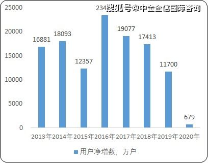 2021年中国互联网服务行业市场盈利能力分析预测及发展战略研究