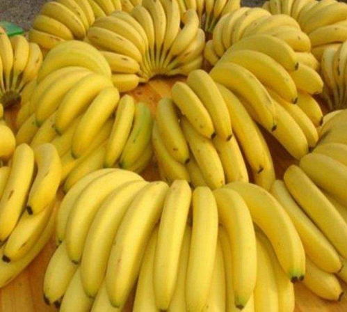 香蕉有几种颜色,青皮香蕉和黄皮香蕉有什么区别