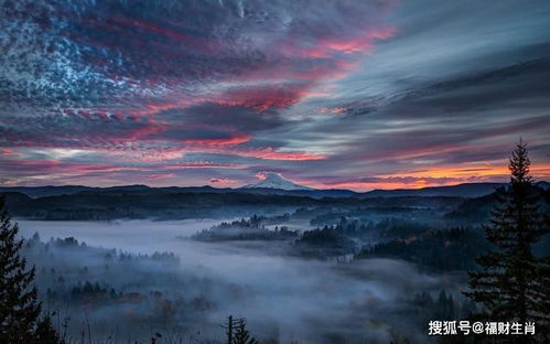 因为爱情,不怕艰难险阻的星座,所爱隔山海,山海皆可平