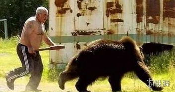 俄罗斯人民的日常娱乐 管它猫科 熊科想养就养