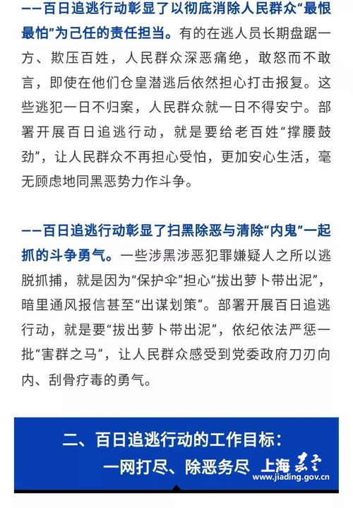 布下追逃天罗地网,确保 一网打尽 除恶务尽