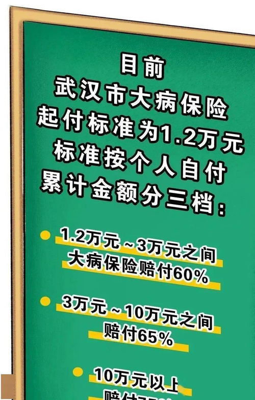 农村大病医疗保险能报多少钱大病医保三次报销多少钱 