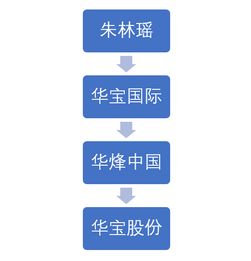 公司投股10000,半年分红2400,这算高么?