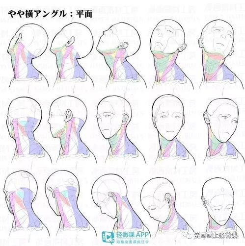 不会画头像 这100张高清素材赶紧收藏