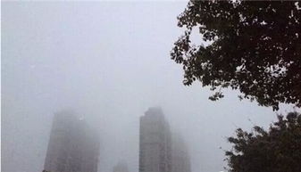 大雾停航,南风天开始袭击厦门 附防潮除湿攻略