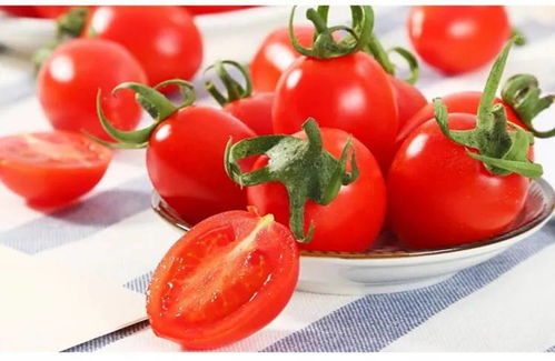 孕妇 小番茄 孕妇可以吃小西红柿圣女果吗