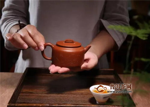 紫砂壶可以泡白茶吗 特别适合老白茶