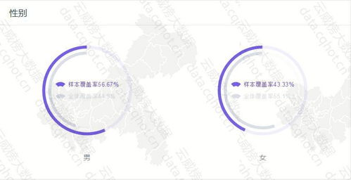 节前安全检查简报(停车场管理系统测试报告怎么写)