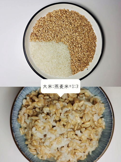 杂粮饭每天不重样 总有一款适合你 附做法 