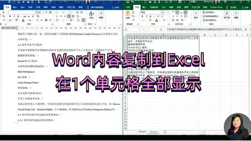 word内容复制到Excel,在1个单元格中显示 