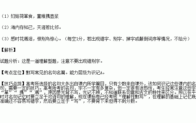 体现伙伴的名言