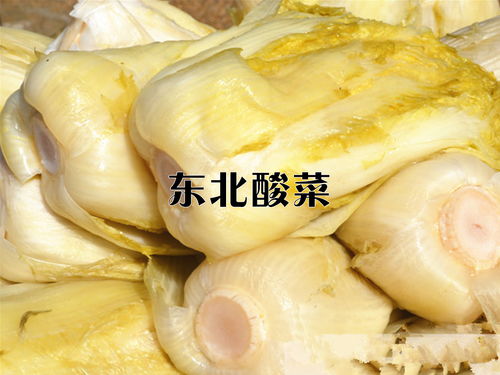 四大冬储菜 白菜土豆萝卜大葱,老东北传统食材,本地方式保鲜