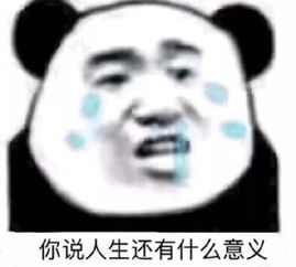 热门爆笑熊猫头斗图表情包 怎么发现你特别激动啊 腾讯网 