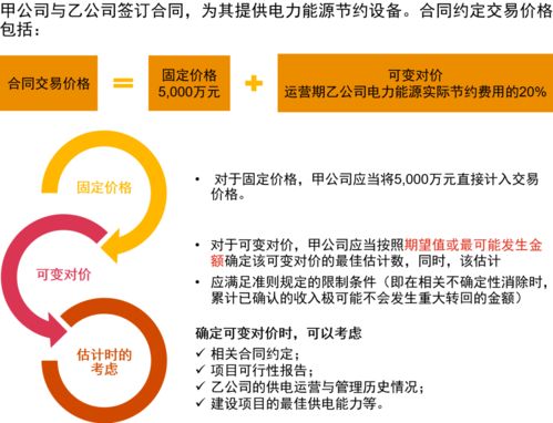 普华永道 收入案例及实施问答分享