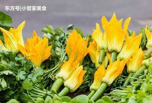 南瓜花雄花和雌花的照片区别 图片欣赏中心 急不急图文 Jpjww Com