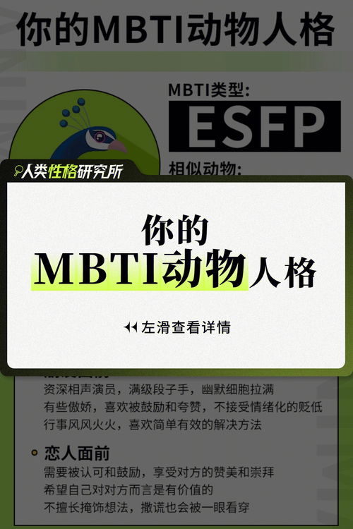 你的MBTI动物人格是什么 