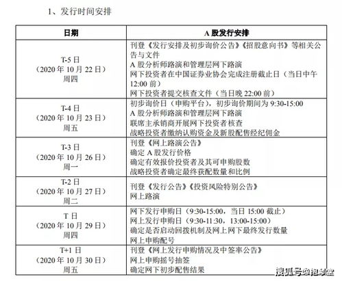 上网定价、全额预缴配售、储蓄挂钩、战略配售的含义