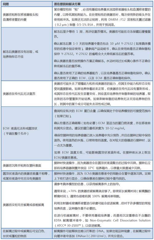 吴川票据报销查重常见问题及解决方案