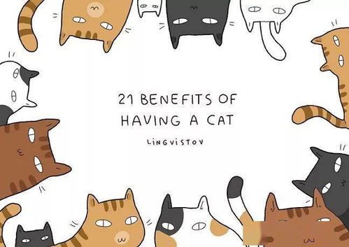 双语漫画 养猫的这21种好处,你知道喵