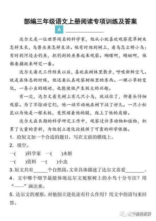 小学三年级阅读理解与写作 附练习及答案