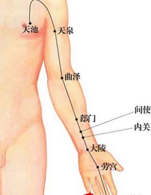 心包经的准确位置图 搜狗图片搜索