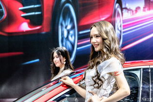 来看看买不起系列 路人视角下的北京车展