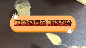 虎皮鹦鹉,记录奶豆孵蛋视频,球球很照顾奶豆来回进繁殖箱喂奶豆食物,是个合格的爸爸