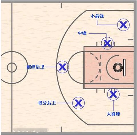 打篮球分为几个位置来打,各个位置的主要作用是什么?