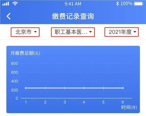 上海医保缴费记录去哪里查询