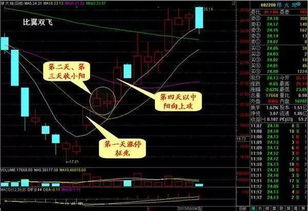 我今天早上买入2300股股票下午卖不掉，卖出数量大于最大可卖，交易可能不会成功。什么意思