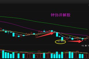 用哪个软件可以查询到股票摘帽信息，东方财富可以以吗？