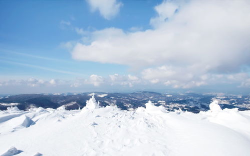 2月,吉星照耀,事业收入颇丰,爱情幸福甜蜜的3个星座