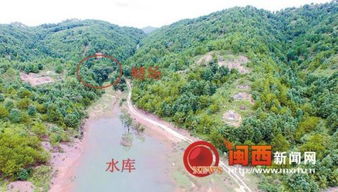 龙岩长汀深山密林聚众赌博 空中利剑 助警端窝