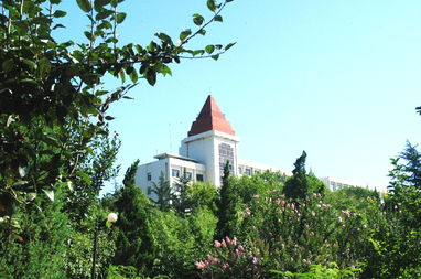 鲁东大学简介(鲁东大学是个怎样的大学)