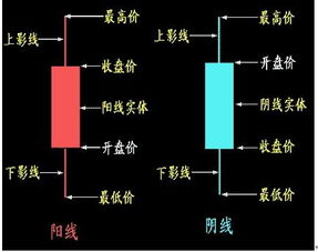 在网上怎么看股票，买股票啊？