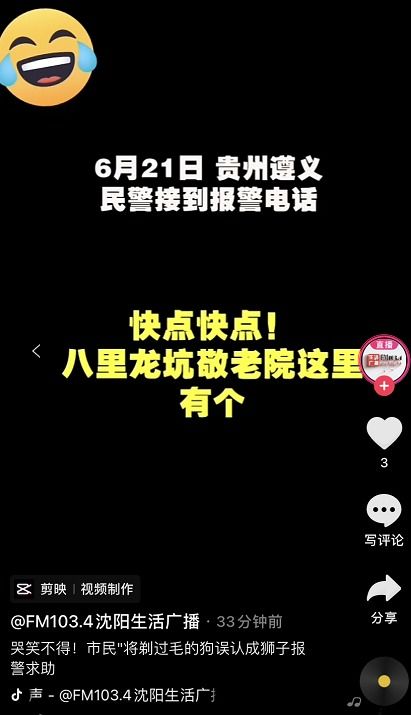 笑哭 市民将剃过毛的狗误认成狮子报警求助 网友 这是辛巴被黑得最惨的一次