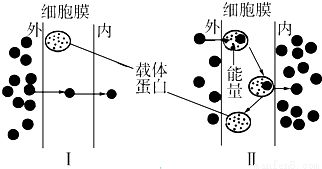 遗传咨询能在一定程度上有效预防遗传病的发生和发展.下列不属于遗传咨询程序的是