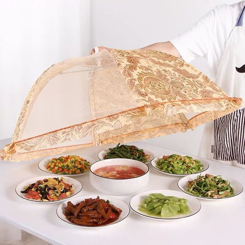 桌盖菜罩家用防尘餐桌饭菜台罩碗菜网罩子折叠可拆洗防蚊遮饭罩伞