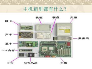 计算机软件由什么组成